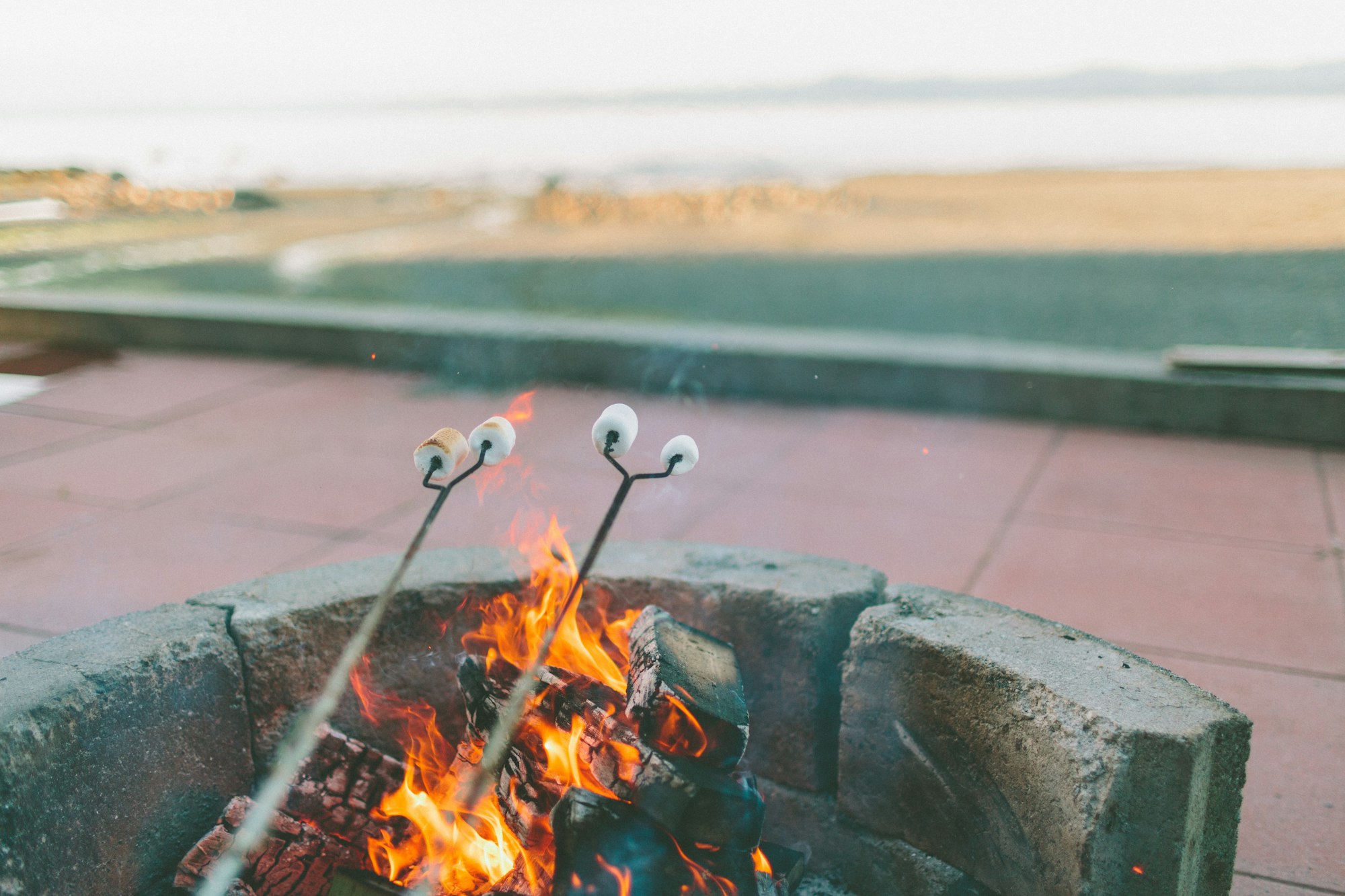 Marshmallows being roasted over a sea side fire pit.